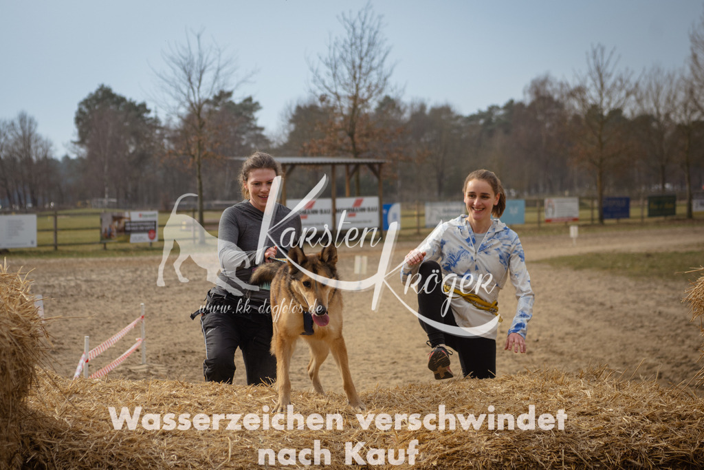 1131_ZZ93978 | kk-dogfotos