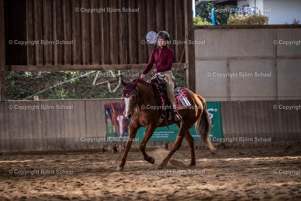 AQB08811 | BS-foto