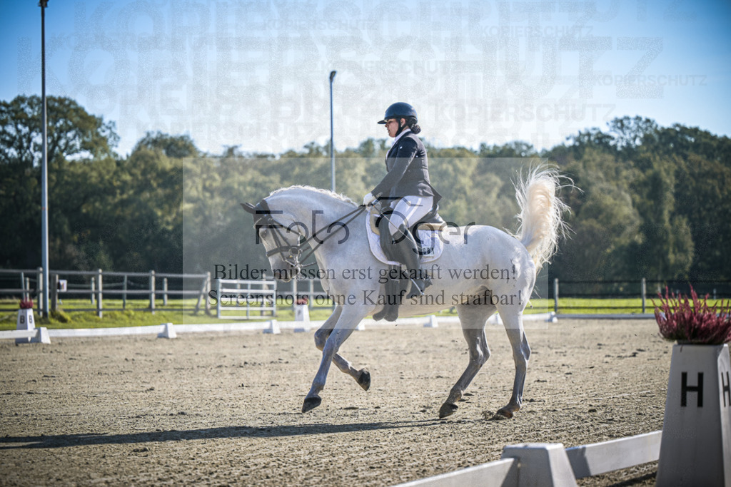 DOS_0394 | Entdecke hochwertige Reitturnierfotos von Foto Oger. Professionell, emotional und authentisch – jetzt Lieblingsmomente im Shop bestellen.Deutschlandweite Turnierfotografie. - Realisiert mit Pictrs.com