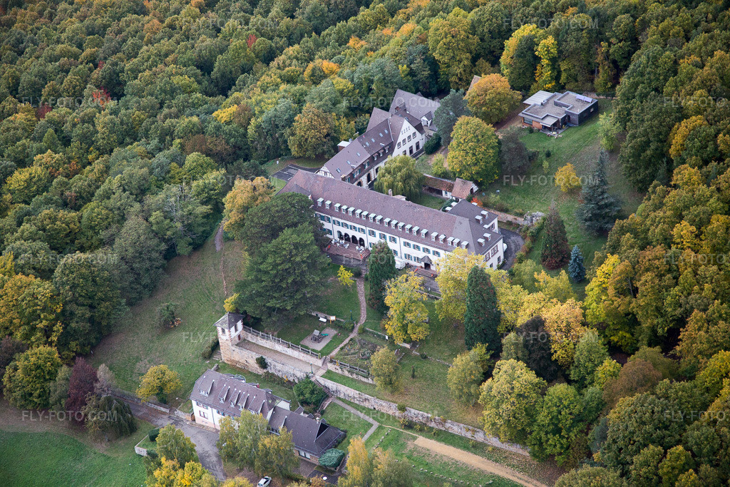 Aerial view: View of the town in Gœrsdorf in the state Bas-Rhin, France.Photo: IMG_084608.jpg taken on 10/23/2015 by Werner Riehm/FLY-FOTO.comResolution of the original: 5472 x 3648 px