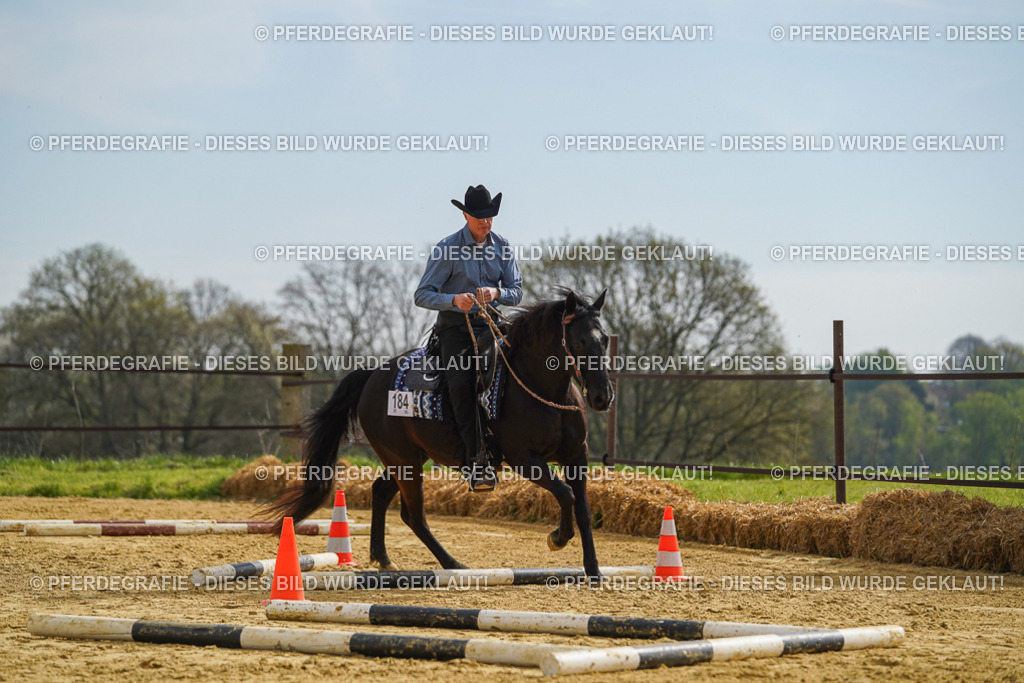 DSC02033 | Pferdegrafie