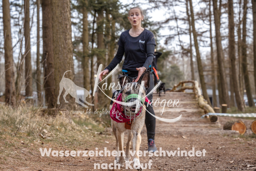 1643_ZZ94869 | kk-dogfotos