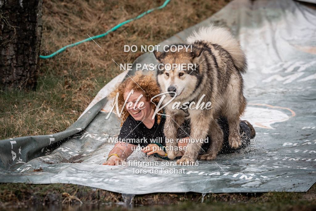 nelerasche_1330-1400_76 | nelerasche