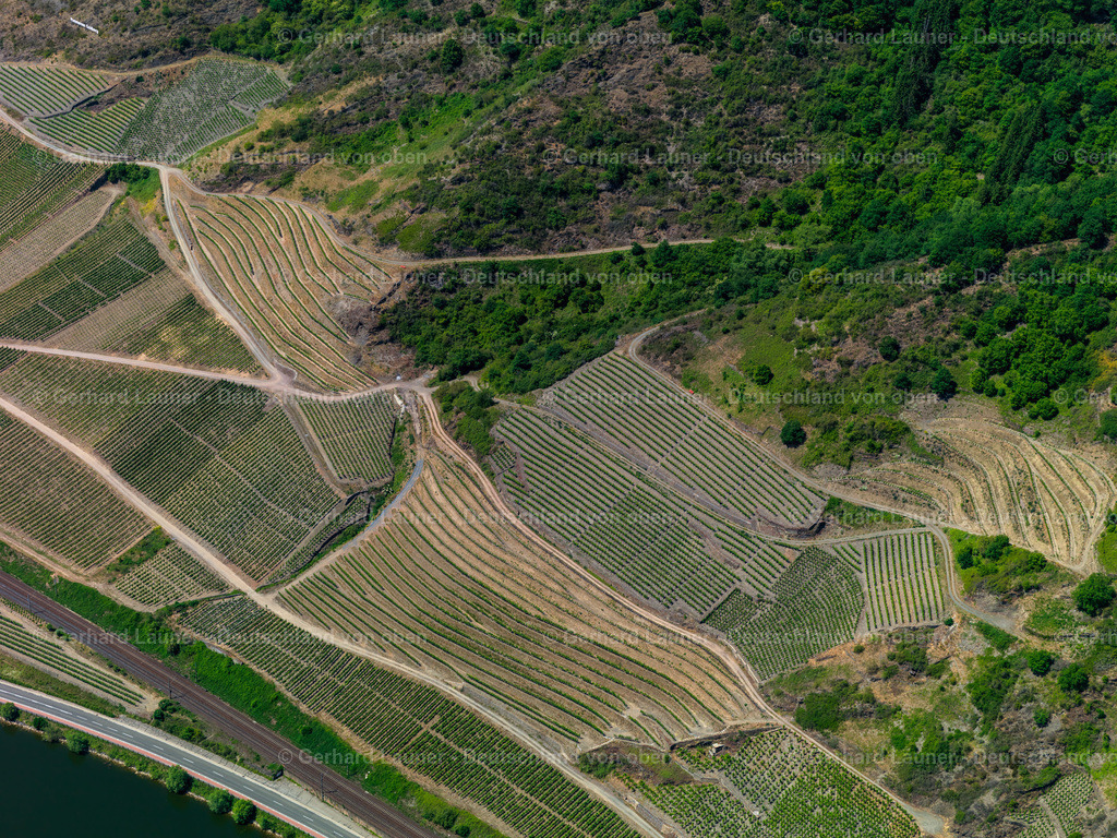 3114581 | Weinberge an der Mosel bei Pommern