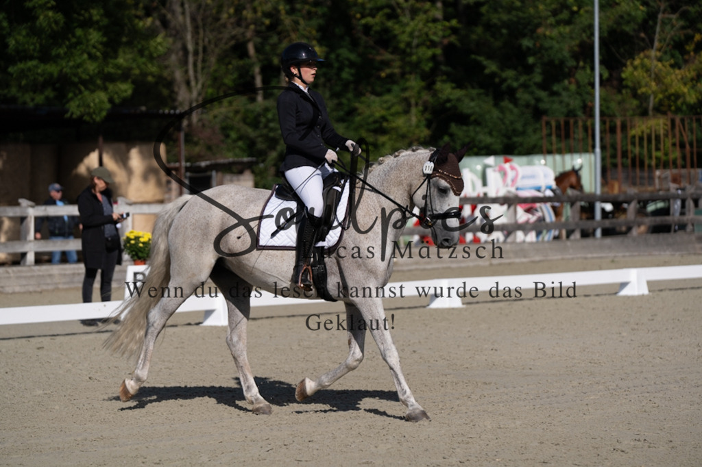A7V06878 | Turnier/Reitfotograf