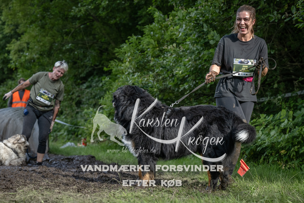 1715_ZZ91685 | kk-dogfotos