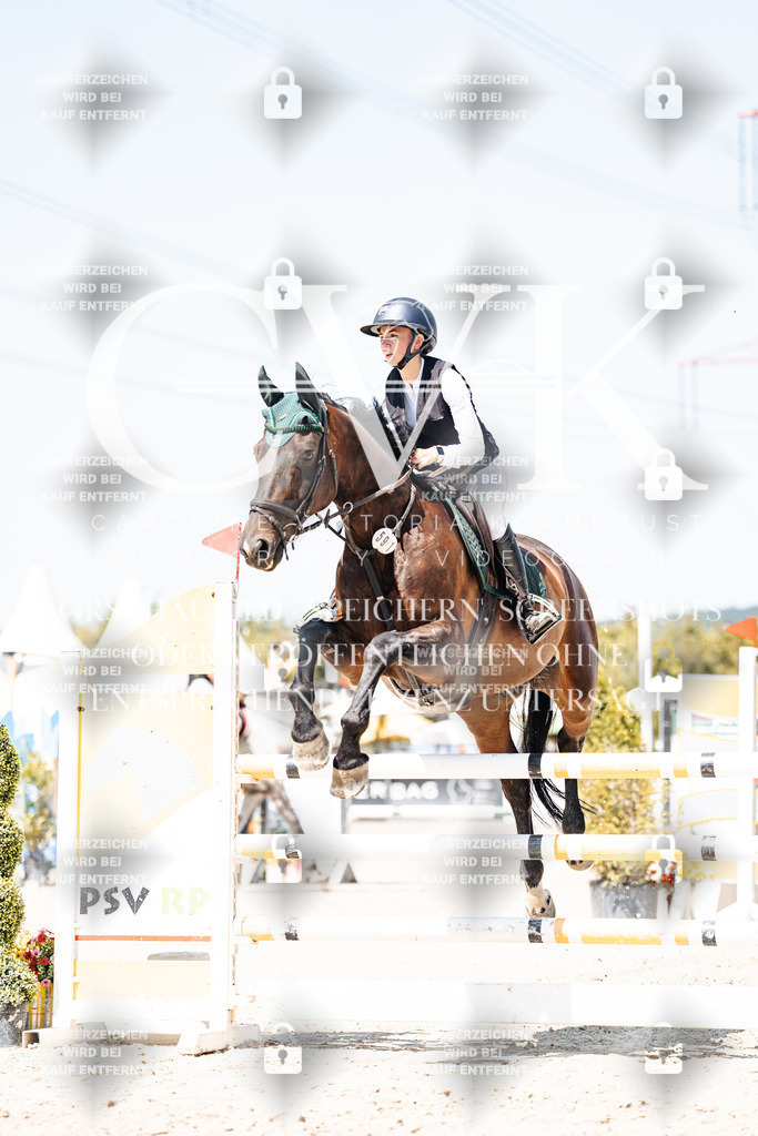 CK909646 | Turnierfotografie Pferdefotografie Trier Rheinland-Pfalz Pferdesport Reitsport Tierfotografie Sportfotografie Pferdevideo Pferdevideografie Equestrianvideography equestrianphotography  - Realisiert mit Pictrs.com