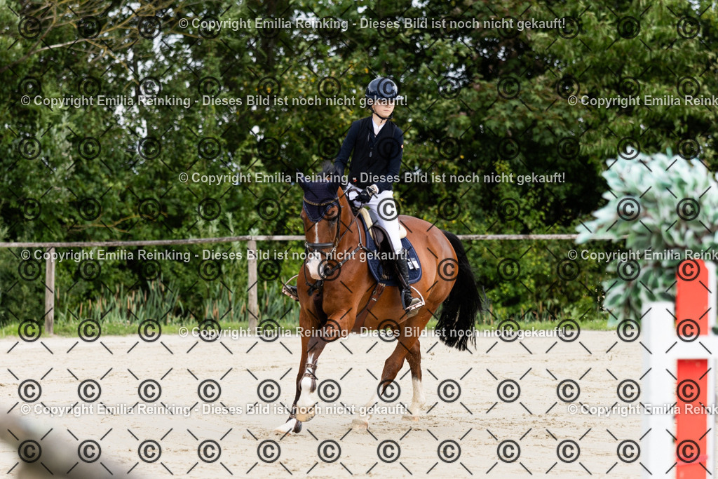 CL5A9090 | Emilia Reinking Fotografie - Realisiert mit Pictrs.com