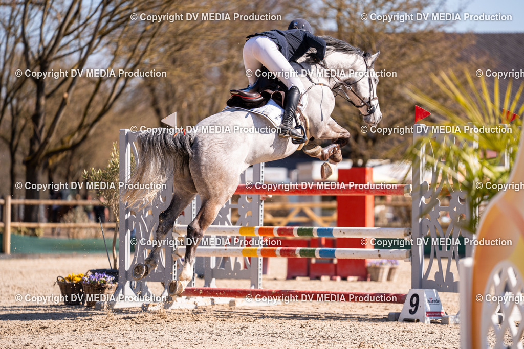 Kranichstein Tag 2-837 | dv-media-shop - Realisiert mit Pictrs.com