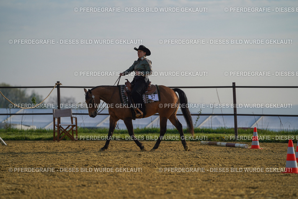 DSC00531 | Pferdegrafie