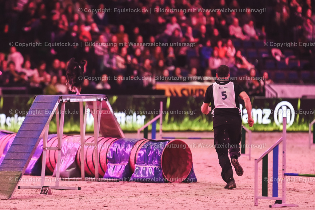20241113_Showabend_TOMsPiC_0415 | Foto: Thomas Hartig