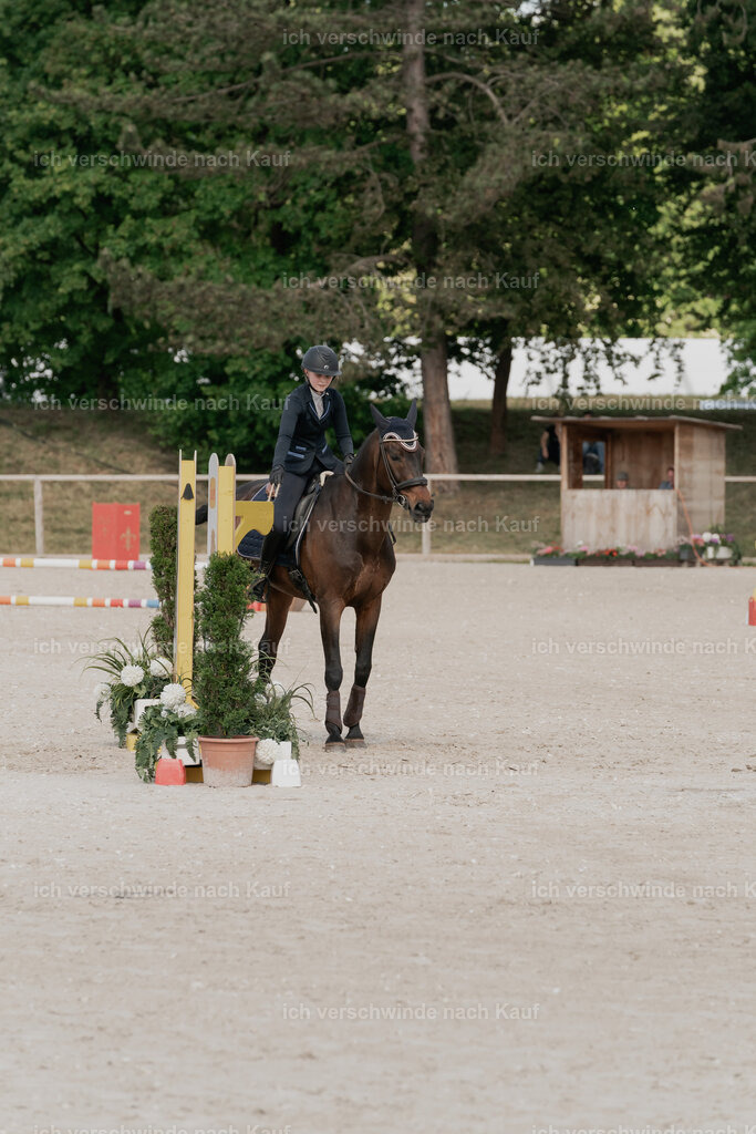 WE_ST_Stoib_316_PI2025_945 | Pferd International München 2025