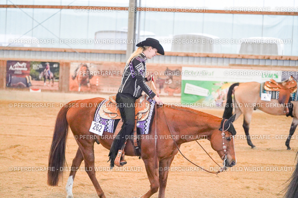 DSC08898 | Pferdegrafie