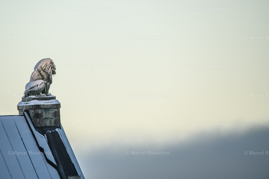 _DSC4570 | foto-rosenfeld