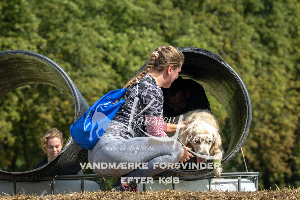 1306_ZZ92185 | kk-dogfotos