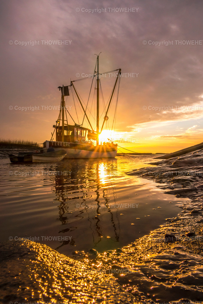 _2680342 | thowehey - Realisiert mit Pictrs.com