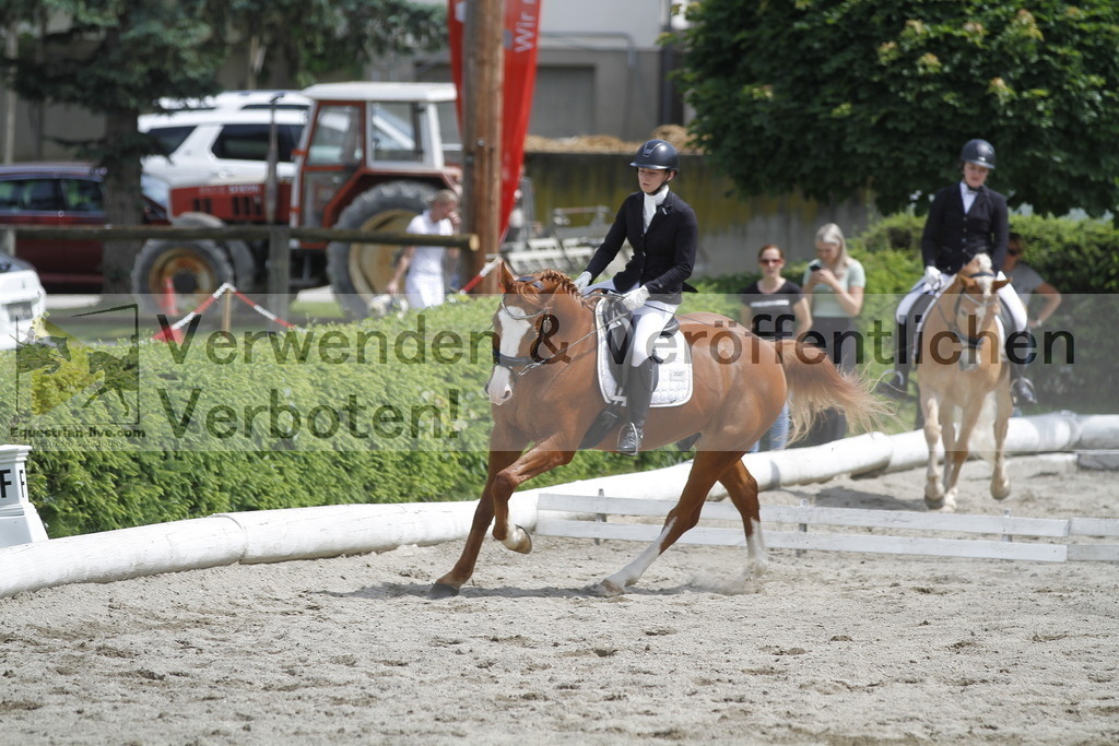 _MG_8679 | equestrian-live-com