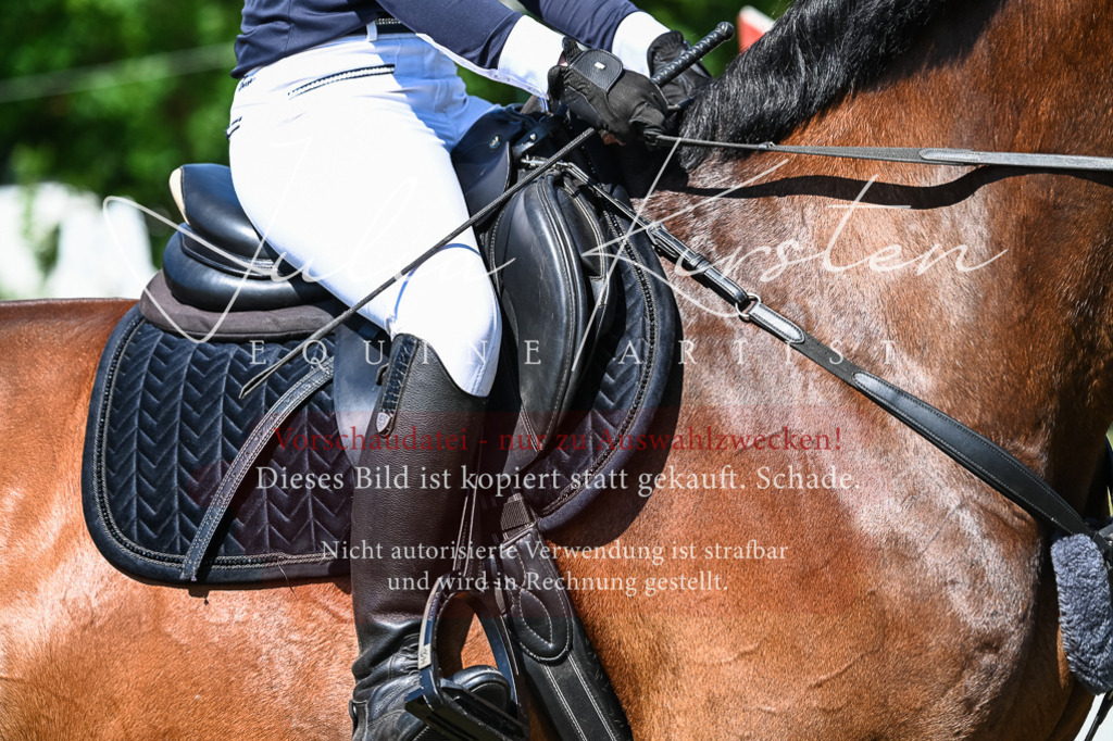 DSC_1523 | Pferde- und Turnierfotografie in Westsachsen. Pferdeportraits, Auftragszeichnungen und intuitive Kunst.