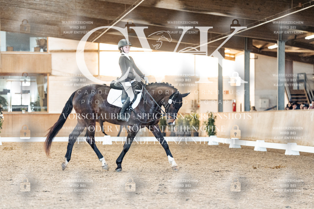 CK907165 | Turnierfotografie Pferdefotografie Trier Rheinland-Pfalz Pferdesport Reitsport Tierfotografie Sportfotografie Pferdevideo Pferdevideografie Equestrianvideography equestrianphotography  - Realisiert mit Pictrs.com