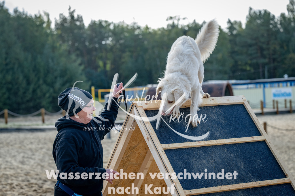 0945_ZZ92738 | kk-dogfotos