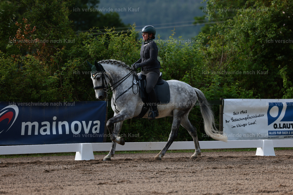 KlasseL_Stoibphotography_CAM20809.JPG | working equitationturnier fotograf videograf stoibphotography marixx film working equitation deutschland reitsport turnierfotografie eventfotografie equestrian events