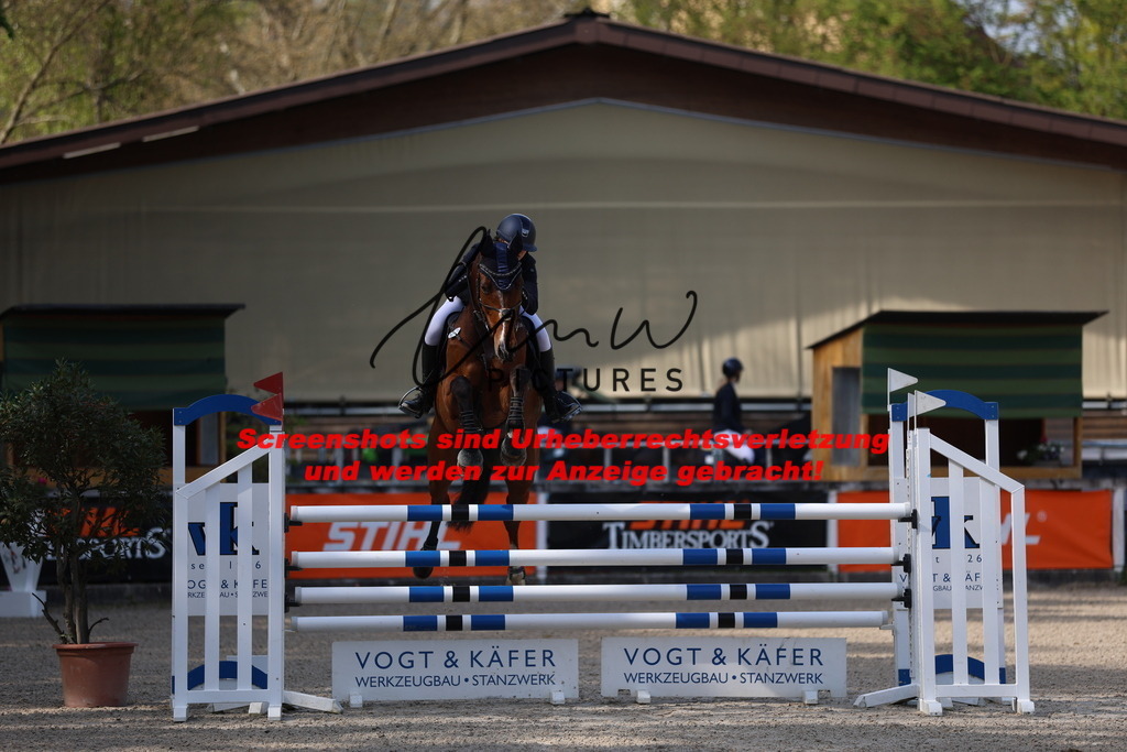 A40A2635 | lmwpictures - Realisiert mit Pictrs.com