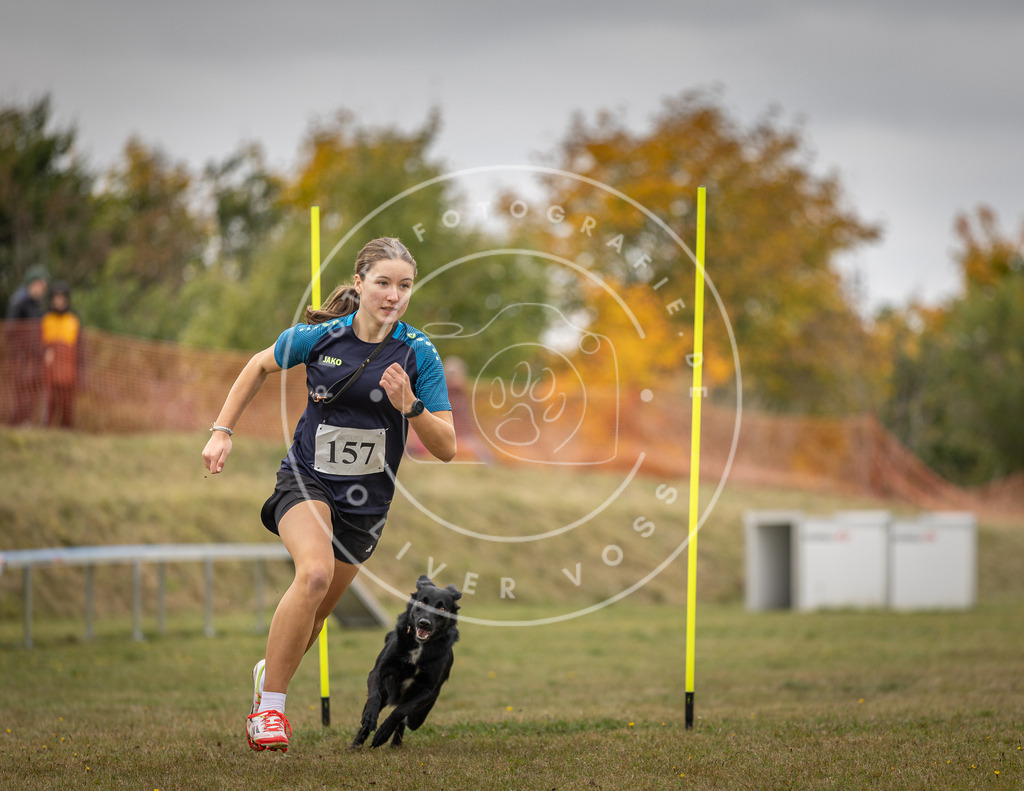 Pfotenfotografie_DV3A5187 | Hundefotografie, Tierfotograf, Pfotenfotografie, Fotoshooting Hund, Hunde Portrait, Hundesport, Hundeportraits, Heideshooting, Hunde, Sportfotograf, Hundefotograf, Turnierhundsport, THS,  - Realisiert mit Pictrs.com