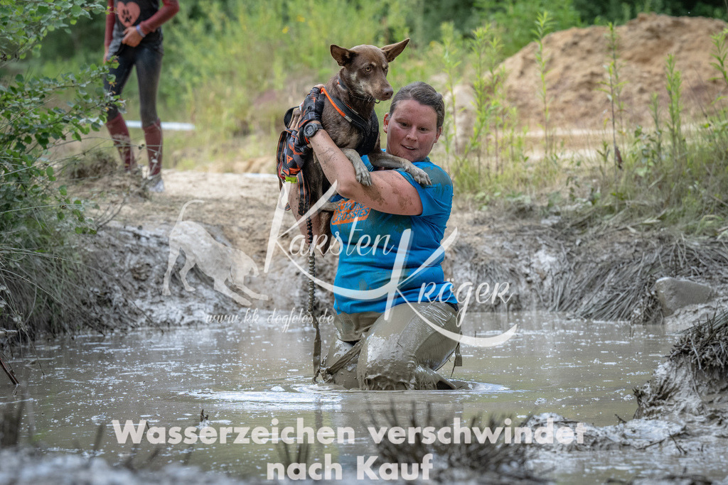 1123_ZZ91906 | kk-dogfotos