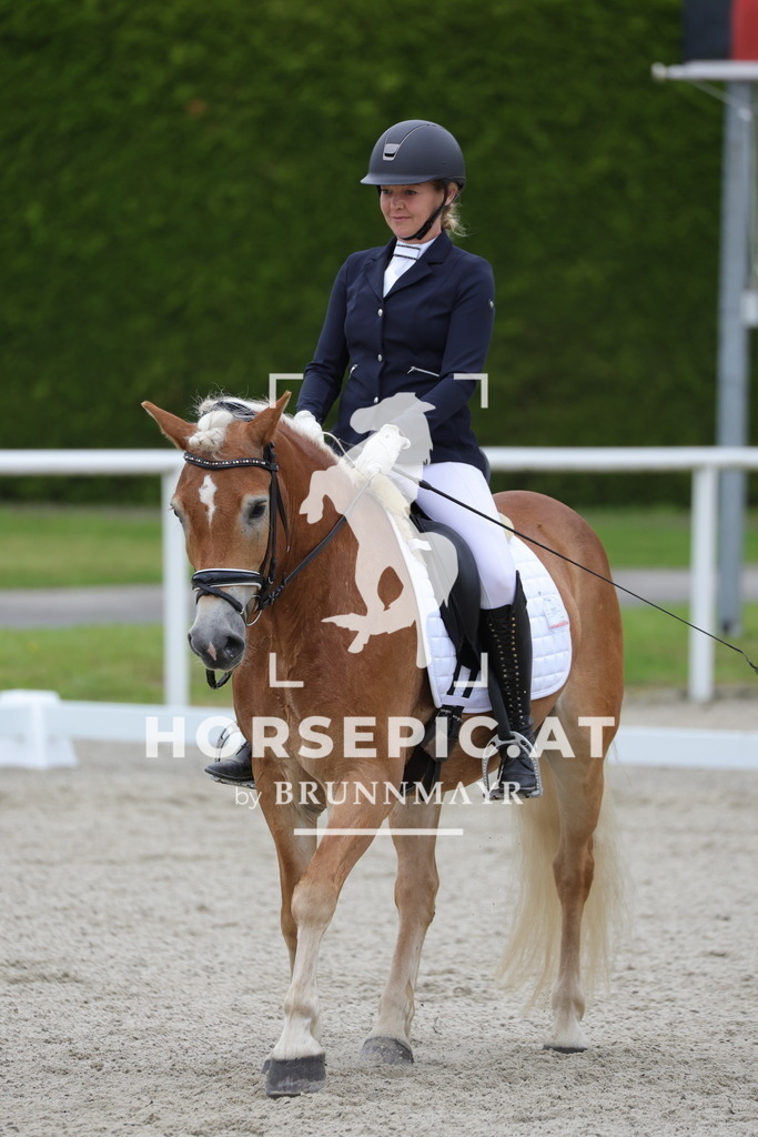 0P6A4864 | Willkommen bei Brunnmayr - Design & Fotografie – Ihrem Spezialisten für Reitturniere und Pferdeveranstaltungen in Oberösterreich, Salzburg und Bayern! Seit über 17 Jahren sind wir leidenschaftlich dabei.