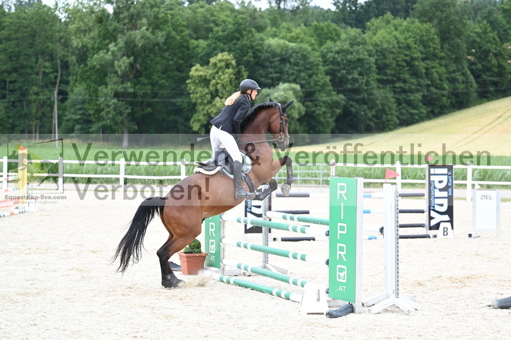 DSC_4313 | equestrian-live-com