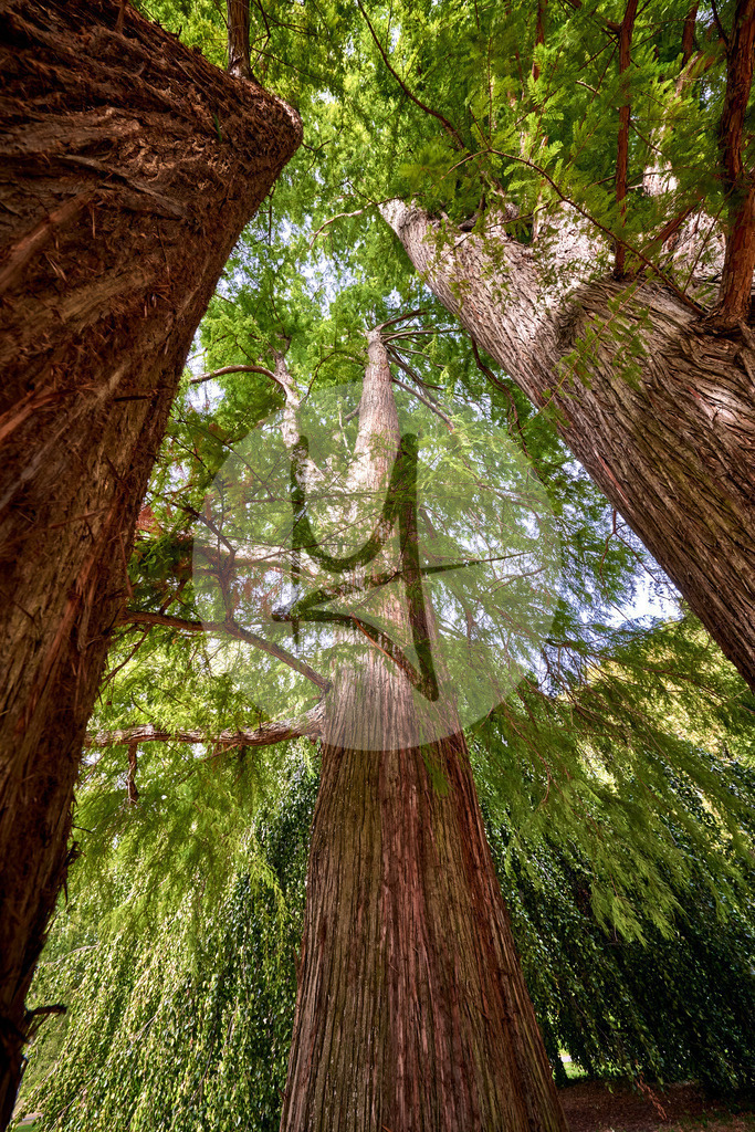 Grünes Wolfenbüttel - Lessingstadt Wolfenbüttel in Niedersachsen, Deutschland | Meurer Shop - Realisiert mit Pictrs.com