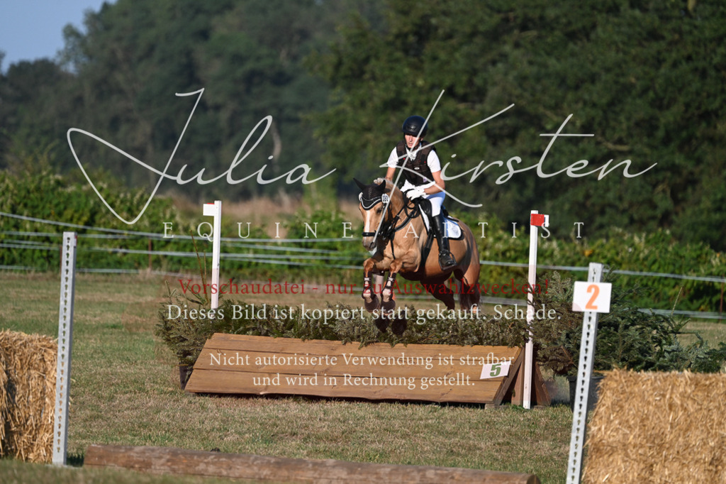 DSC_9244 | Pferde- und Turnierfotografie in Westsachsen. Pferdeportraits, Auftragszeichnungen und intuitive Kunst.