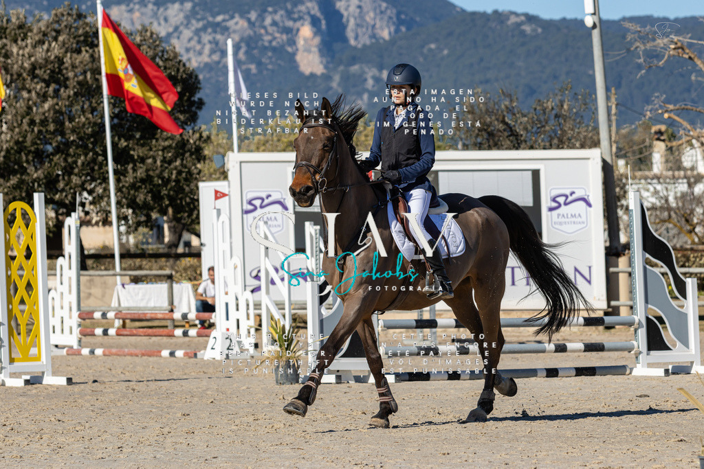 IMG_8229 | s-jay-photography - Realisiert mit Pictrs.com