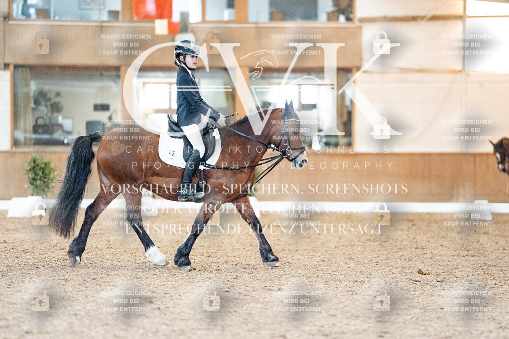 CK907860 | Turnierfotografie Pferdefotografie Trier Rheinland-Pfalz Pferdesport Reitsport Tierfotografie Sportfotografie Pferdevideo Pferdevideografie Equestrianvideography equestrianphotography  - Realisiert mit Pictrs.com