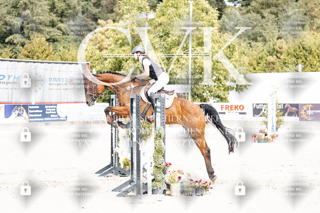 CK906573 | Turnierfotografie Pferdefotografie Trier Rheinland-Pfalz Pferdesport Reitsport Tierfotografie Sportfotografie Pferdevideo Pferdevideografie Equestrianvideography equestrianphotography  - Realisiert mit Pictrs.com
