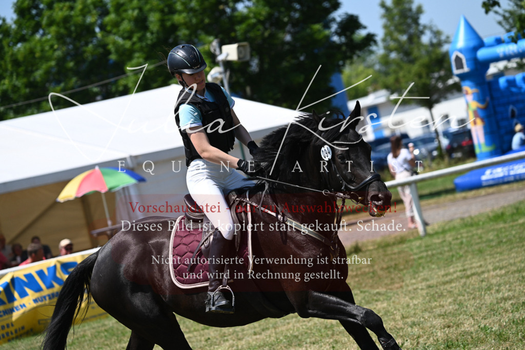 DSC_0725 | Pferde- und Turnierfotografie in Westsachsen. Pferdeportraits, Auftragszeichnungen und intuitive Kunst.