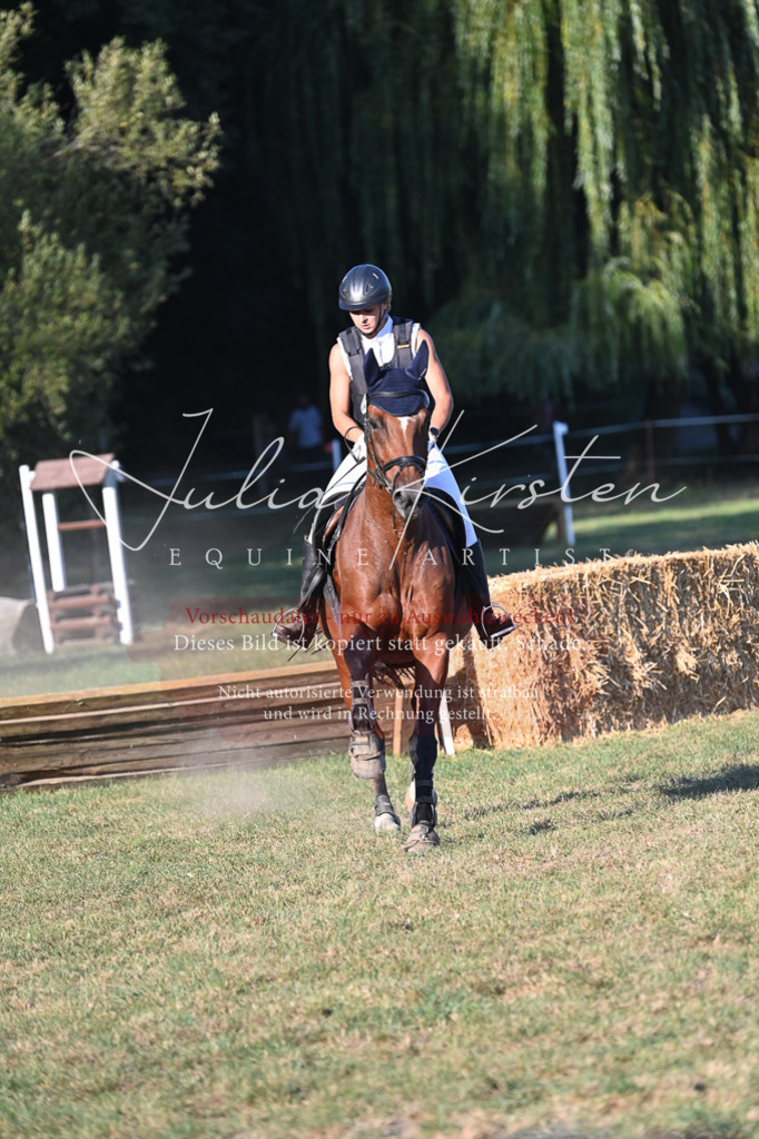 DSC_9117 | Pferde- und Turnierfotografie in Westsachsen. Pferdeportraits, Auftragszeichnungen und intuitive Kunst.