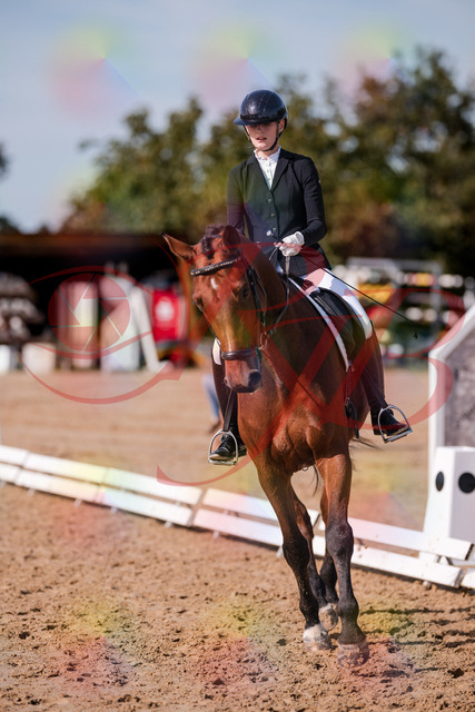 2026_10_03_Siefer-Hof_130749_Z81_58988039 | Professionelle Reitsport-, Turnier- und Eventfotografie von Robert Broda. Galerien mit ausgewählten und bearbeiteten Bildern direkt online ansehen und bestellen.