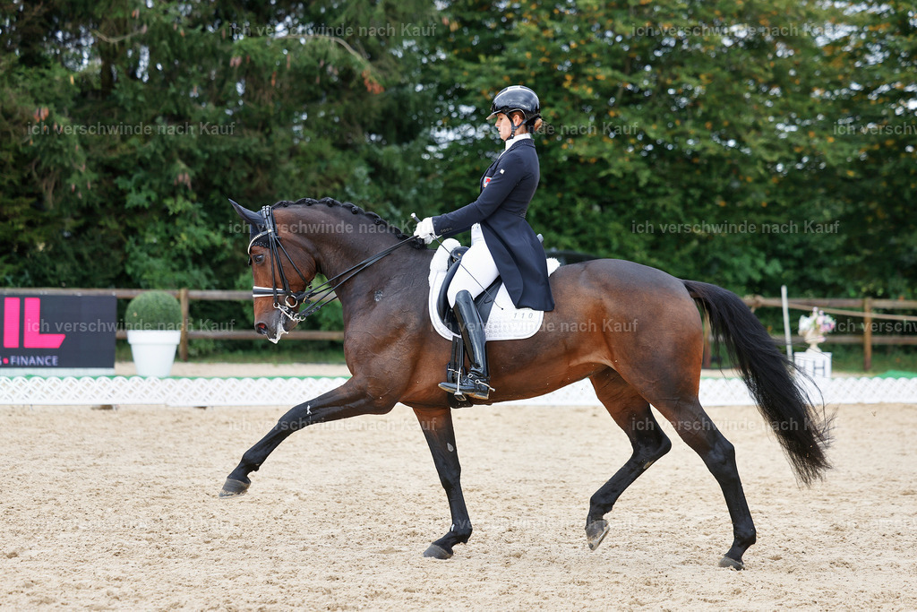 12-110-DRESSUR  S___  -StoibPH-5288 | working equitationturnier fotograf videograf stoibphotography marixx film working equitation deutschland reitsport turnierfotografie eventfotografie equestrian events