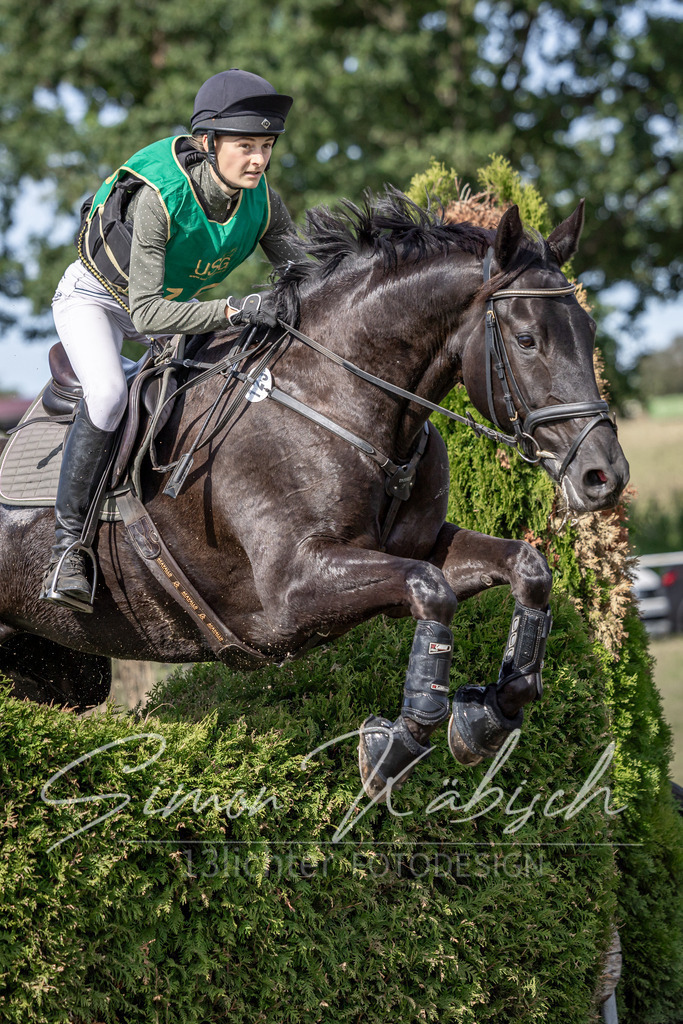 20250907-_3LI1608 | Tierfotografie Pferde, Hunde, Katzen, Haustiere.
Turnierfotografie Reitturniere, Reiten, Springreiten, Dressur in Hanau, dem Main-Kinzig-Kreis und dem Rhein-Main- Gebiet um Frankfurt
