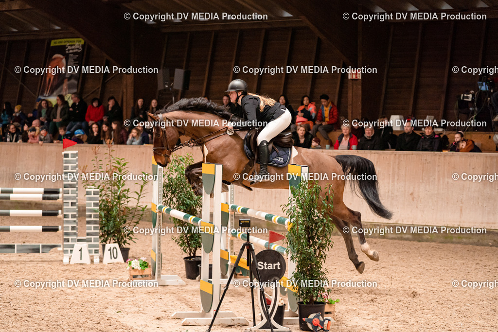 Springen Tag 2-602 | dv-media-shop - Realisiert mit Pictrs.com