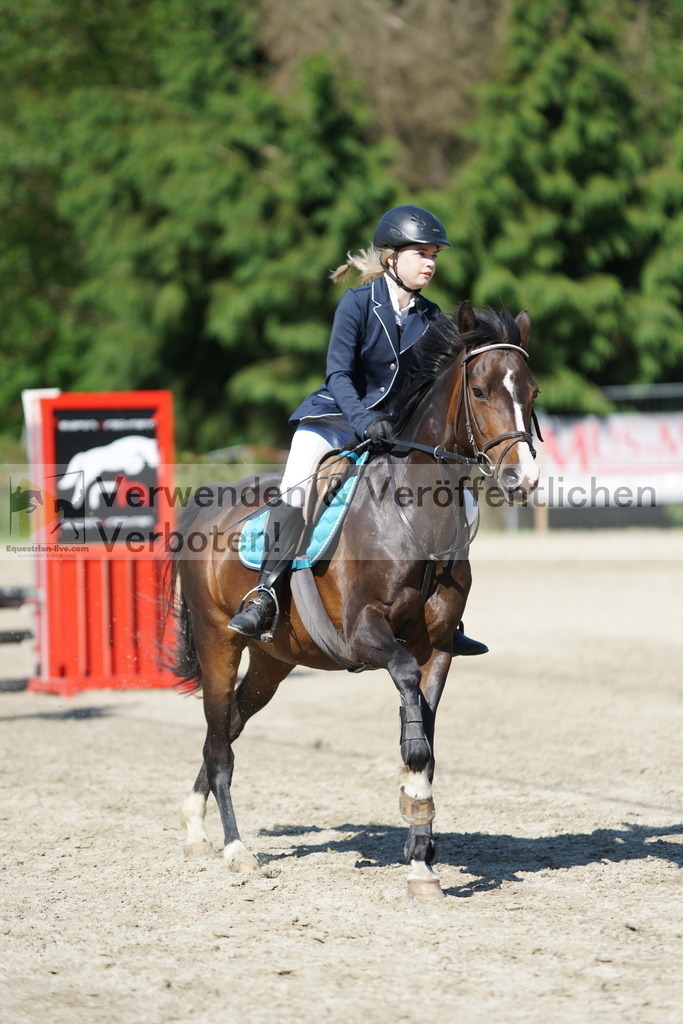 DSC06101 | equestrian-live-com