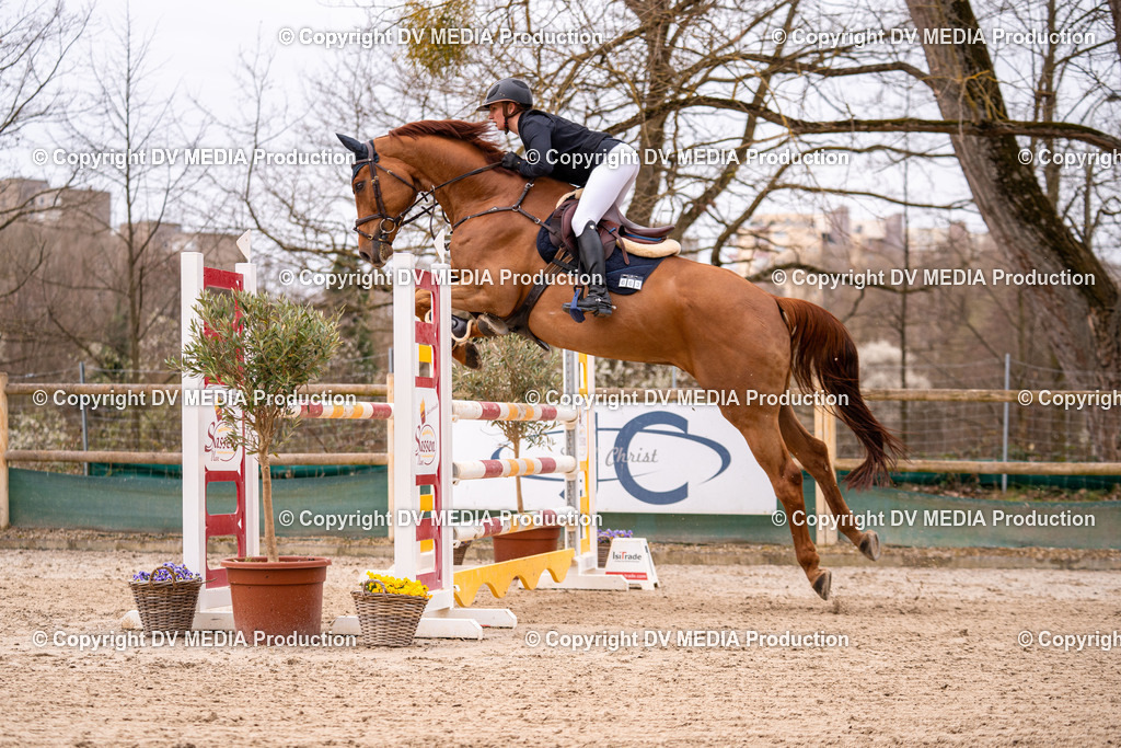 Kranichstein Tag 2-472 | dv-media-shop - Realisiert mit Pictrs.com