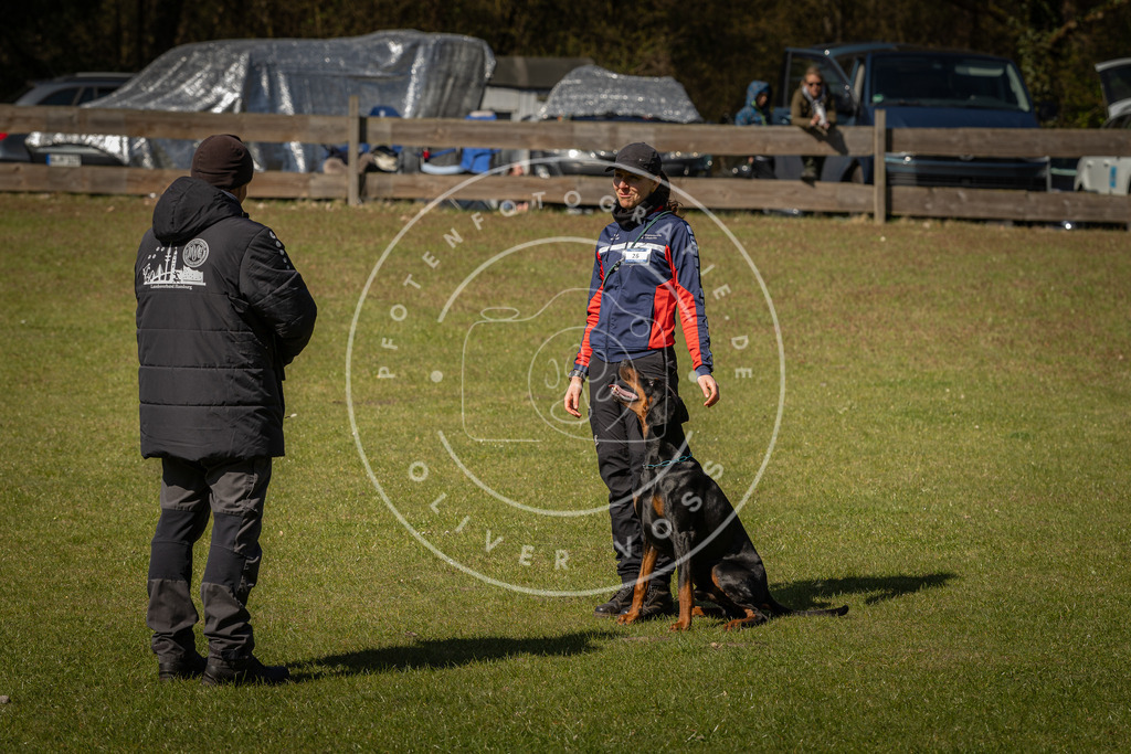 Pfotenfotografie_DV3A0762 | Hundefotografie, Tierfotograf, Pfotenfotografie, Fotoshooting Hund, Hunde Portrait, Hundesport, Hundeportraits, Heideshooting, Hunde, Sportfotograf, Hundefotograf, Turnierhundsport, THS,  - Realisiert mit Pictrs.com