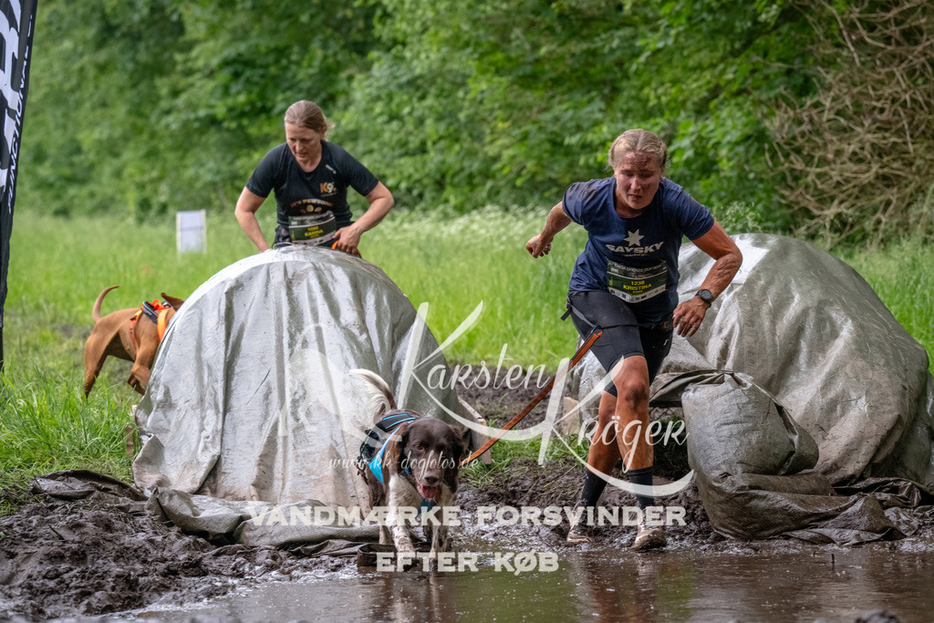 1611_ZZ92847-Bearbeitet | kk-dogfotos