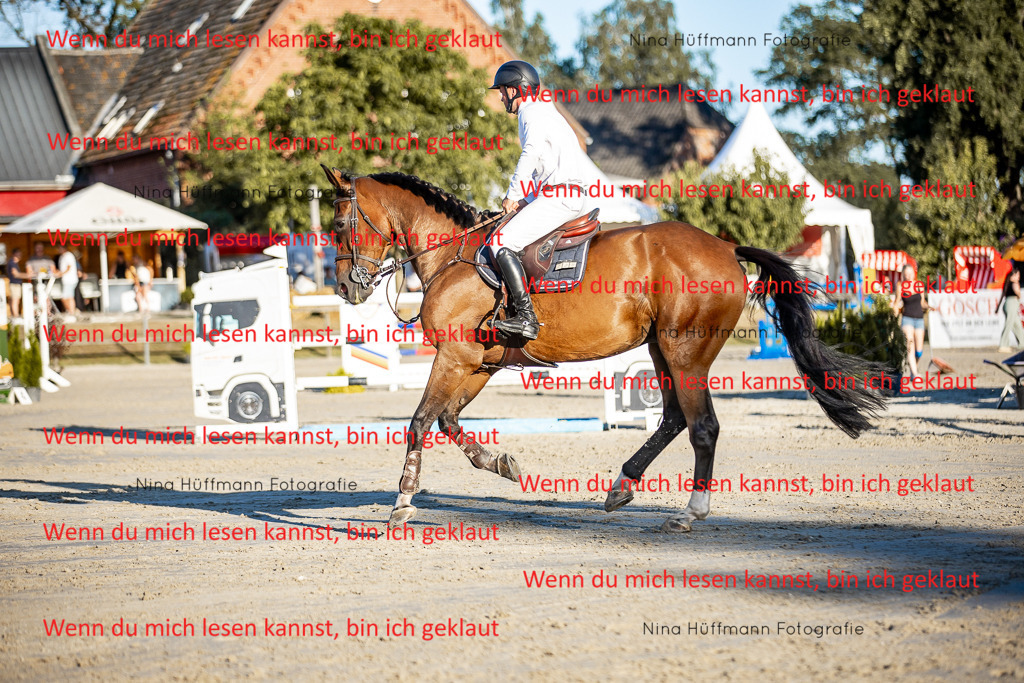 BK1A8488 | Turnierbilder Turnierfotos Nina Hüffmann Turnierfotografie Pferdefotografie Tierzeichnung Haustierzeichnung Pferdezeichnung Hundezeichnung Videograf  - Realisiert mit Pictrs.com