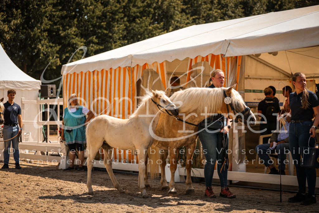 06.DoH00149 | Leoni Ertmer Photography - Realisiert mit Pictrs.com