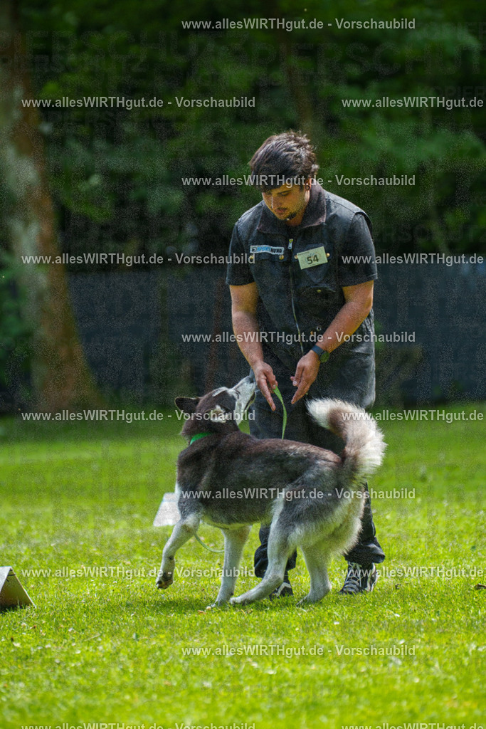 @allesWIRTHgut_Tierfotografie - www.allesWIRTHgut.de - 7R500969 | Professionelle Tierfotografie in Mönchengladbach von Daniel Wirth (allesWIRTHgut). Liebevolle & natürliche Bilder von Hunden & Katzen für unvergessliche Erinnerungen.