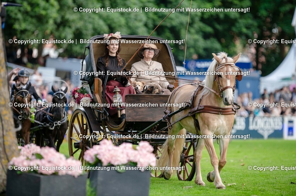 20250606_Lange-Pferdenacht_0090 | Foto: Thomas Hartig