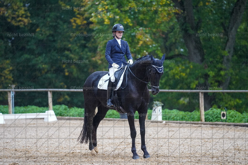 20221008-FAH02169 | Diessen am Ammersee, 2022, Dressur- und Springturnier, Reitsportbilder, Turnierfotografen Bayern, Pferdefotografen, Fotoagentur Herrmann, Turnierbilder